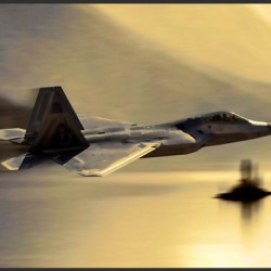 Sunset Raptor