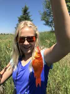 CateGoldFish