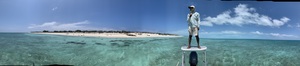 ShakeyOnTowerPano