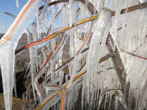 Spring Ice 010