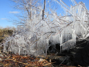 Spring Ice 09