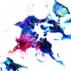 Study 6