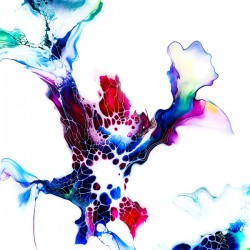 Study 8