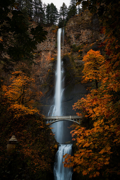 Multnomah Falls by Reagos Photos