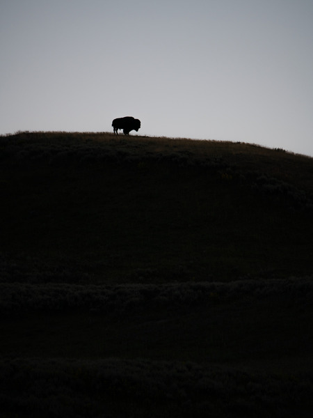 Vantage Point by Reagos Photos