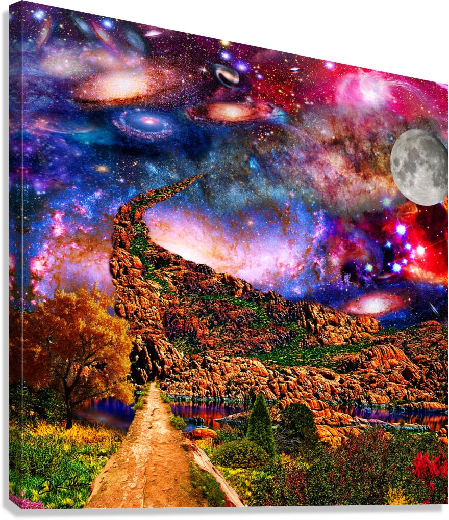 Space Walk 3 Canvas Print