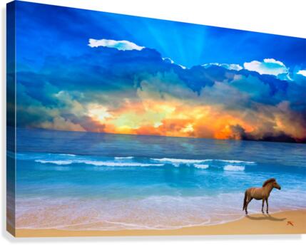 BLUE WET Canvas Print