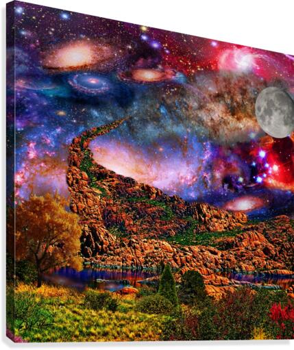SPACE WALK Canvas Print