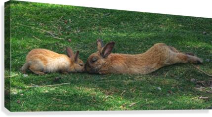 UNCONDITIONAL Canvas Print
