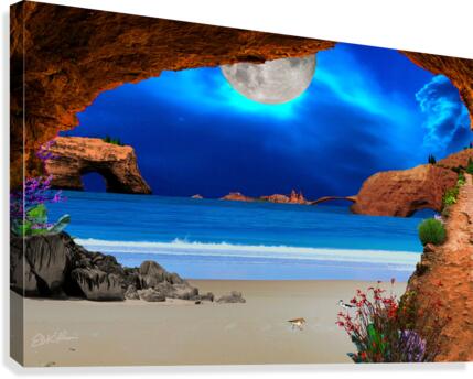 MOON WALK Canvas Print