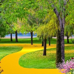 24k GOLD PATH