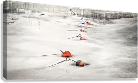 FROZEN Canvas Print