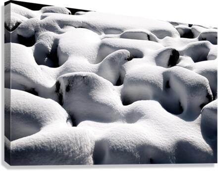 WINTER ABSTRACT Canvas Print