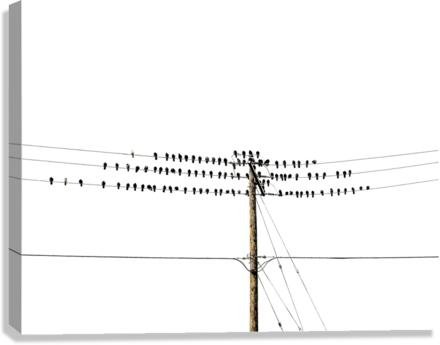 ON LINE Canvas Print