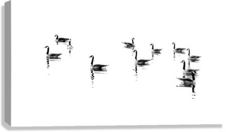 GEESE REFLECTIONS Canvas Print