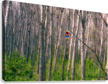 BIRDHOUSE Canvas Print