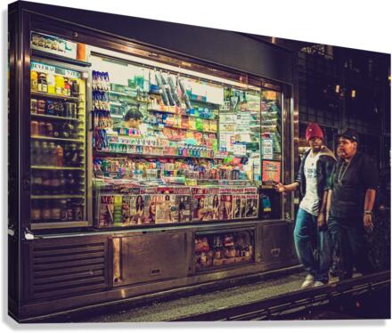 HANGING OUT Canvas Print