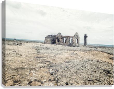 ABANDONED Canvas Print