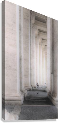 REFLECTION Canvas Print