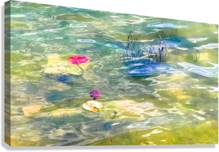 MONET Canvas Print