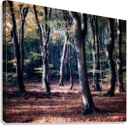 DANCING TREES III Canvas Print