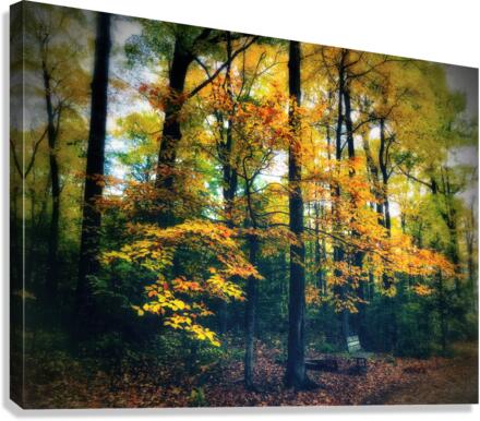 FALL COLOURS Canvas Print
