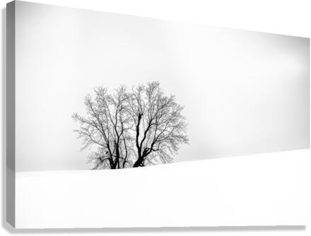SOLITUDE I Canvas Print