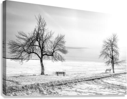 WAITING FOR SPRING Canvas Print
