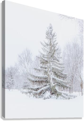 STANDING STRONG Canvas Print