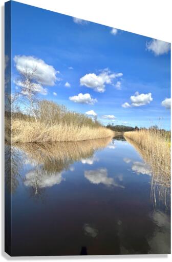 CLOUD REFLECTION Canvas Print