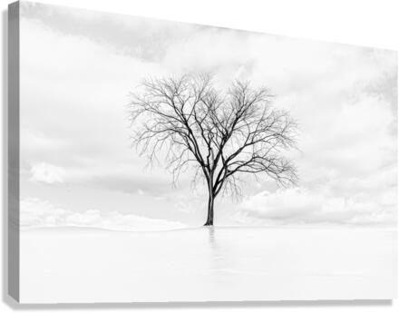  ICE TREE Canvas Print