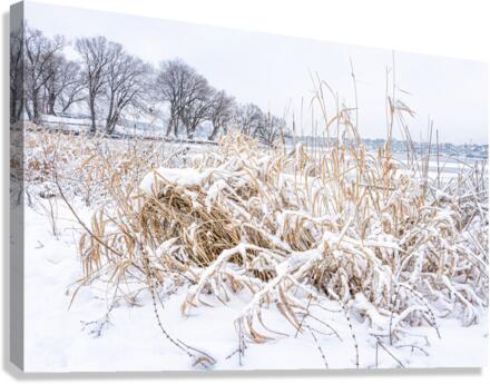  WINTER SCENE Canvas Print