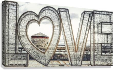 LOVE Canvas Print