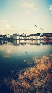 Galway Claddagh  