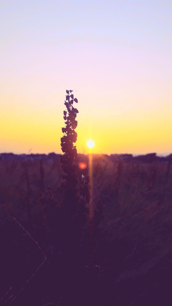 Sunset Galway  Print