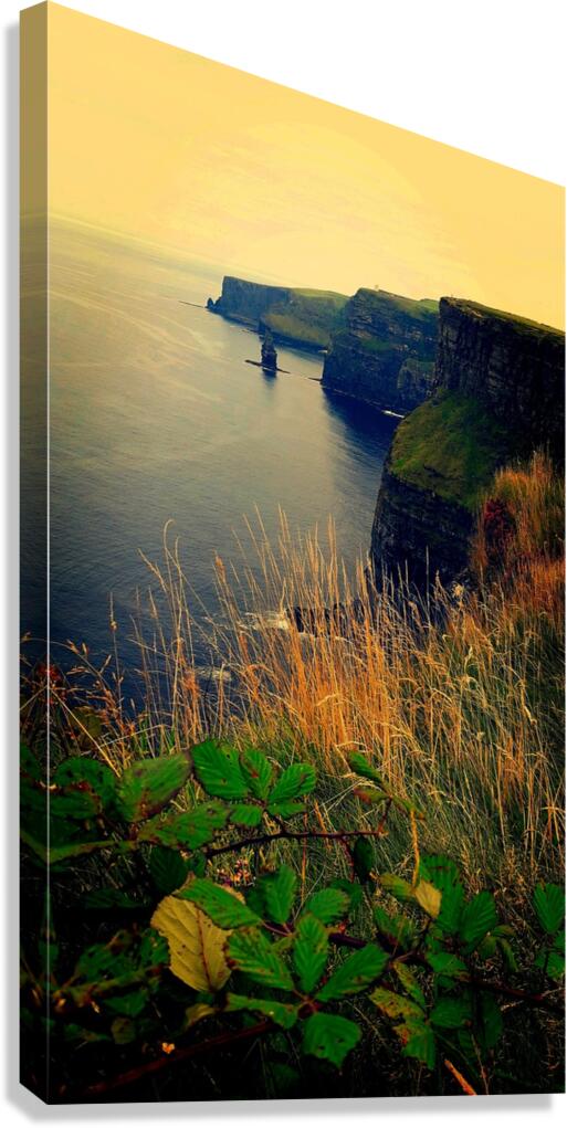 The Cliffs of Moher Ireland Canvas Print
