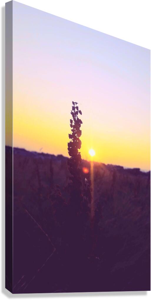 Sunset Galway  Canvas Print