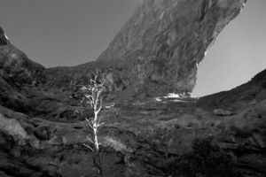 Aches South Window and Tree Black and White