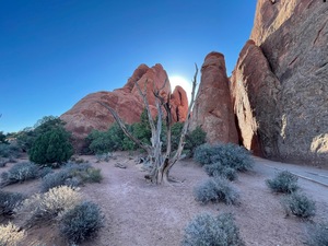Sand Dune Arch Entrance Sunrise
