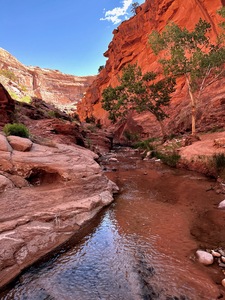 Kane Creek Stream
