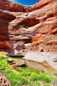 Lake Powell Stream Feed