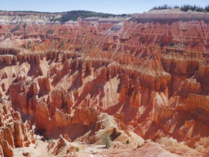 Cedar Breaks Canyon Detail