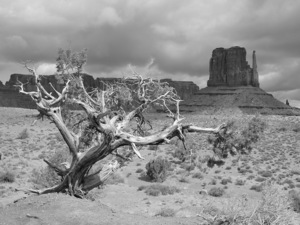 Monument Valley West Mitten Butte Black and White