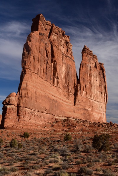 Arches The Organ Portrait by Tom Fritz