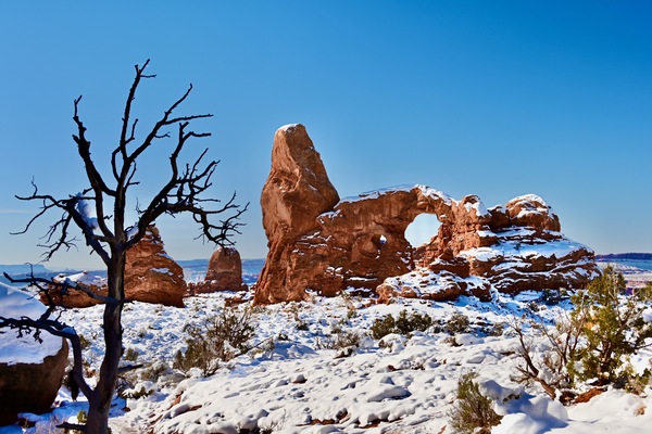 Arches Turret Arch and Tree by Tom Fritz