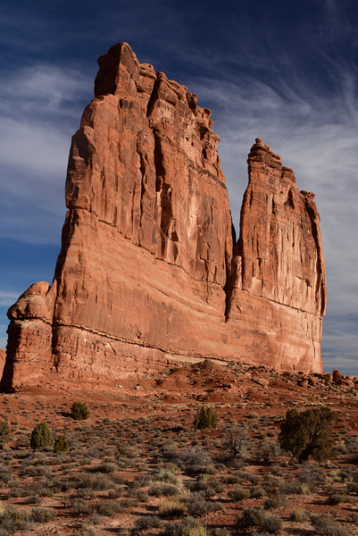 Arches the organ Portrait by Tom Fritz
