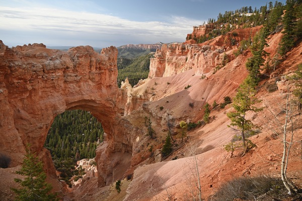 Bryce Natural Bridge Print
