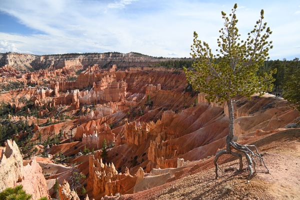 Bryce Sunset Pt 2 Print