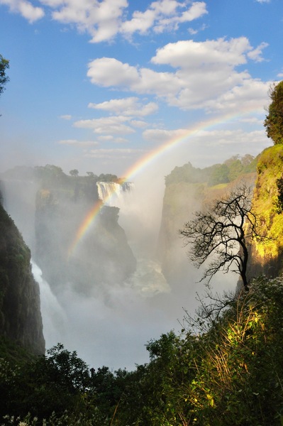Victoria Falls Wonderland by Tom Fritz