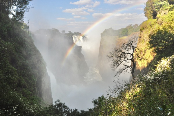 Victoria Falls Midlevel by Tom Fritz